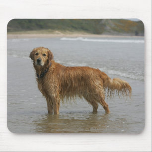 Golden Retreiver in the Sea Mouse Pad