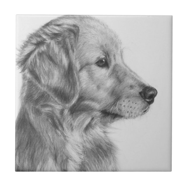 Golden Retreiver Profile Tile (Front)