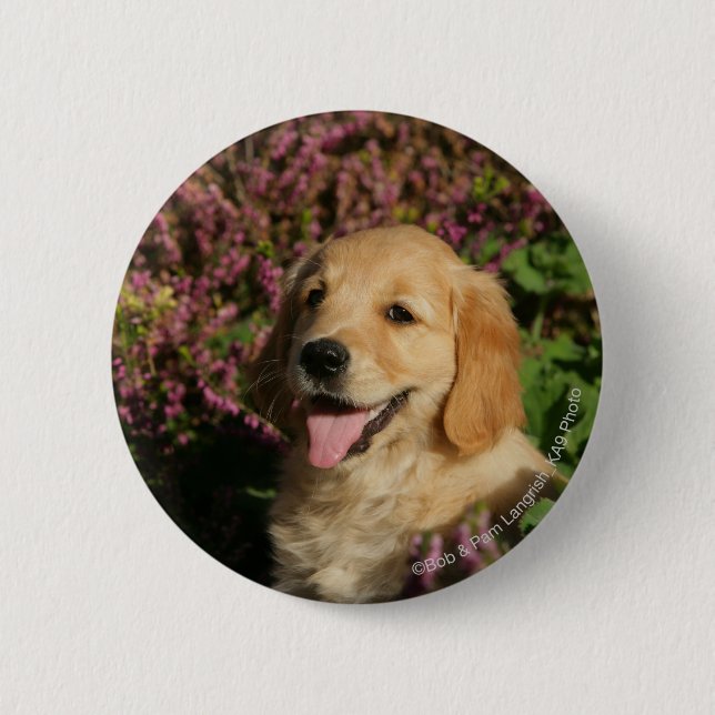 Golden Retreiver Puppy 6 Cm Round Badge (Front)
