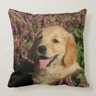 Golden Retreiver Puppy Cushion