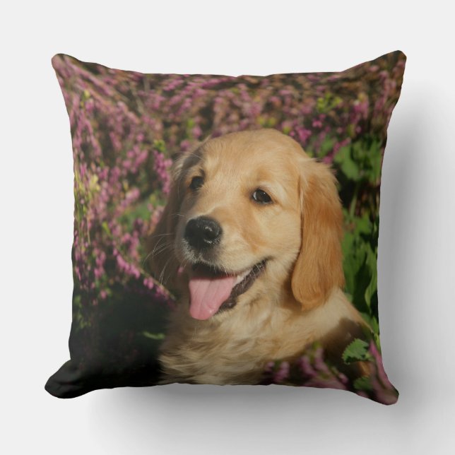 Golden Retreiver Puppy Cushion (Front)