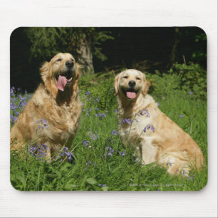 Golden Retreivers in Grass Mouse Pad
