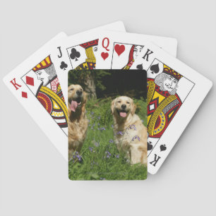Golden Retreivers in Grass Playing Cards