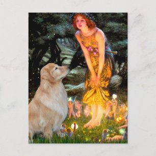Golden Retriever 11 - Mid Eve Postcard