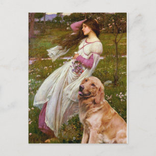 Golden Retriever 1 - Windflowers Postcard