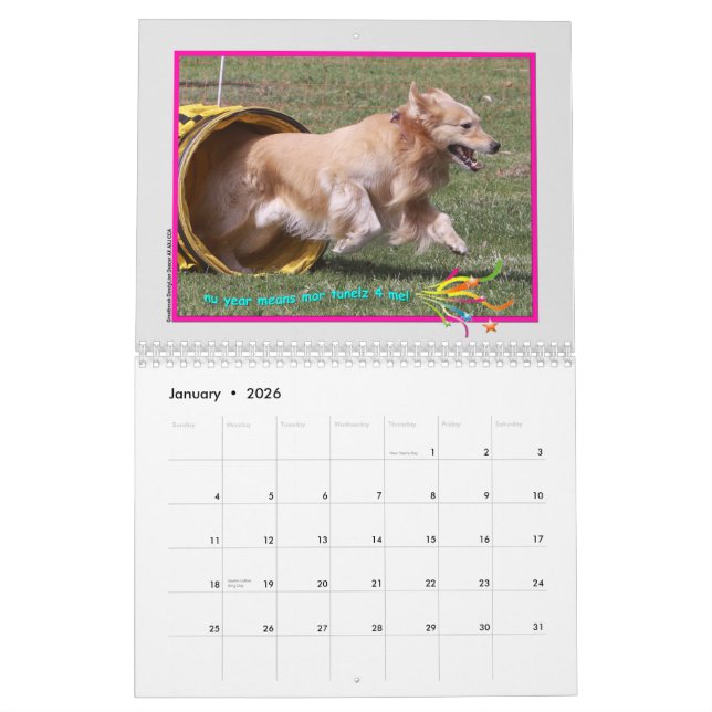 Golden Retriever 2015 Calendar (Jan 2026)