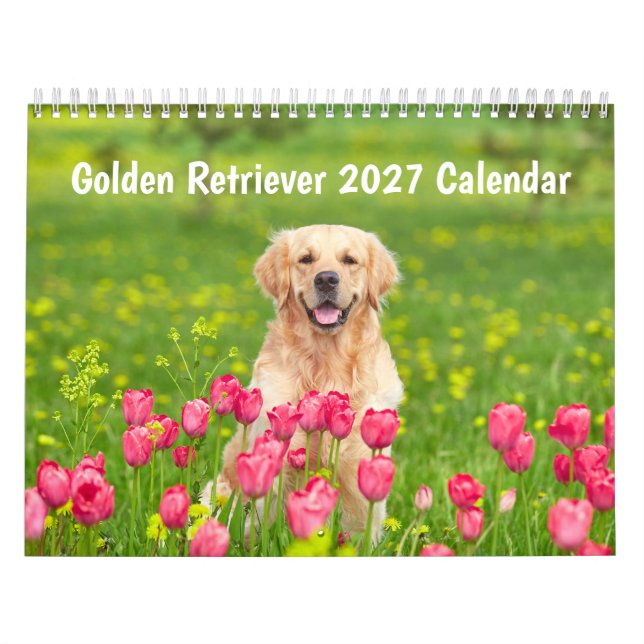 Golden retriever 2027 Calendar (Cover)