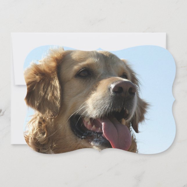 golden-retriever-2 invitation (Front)