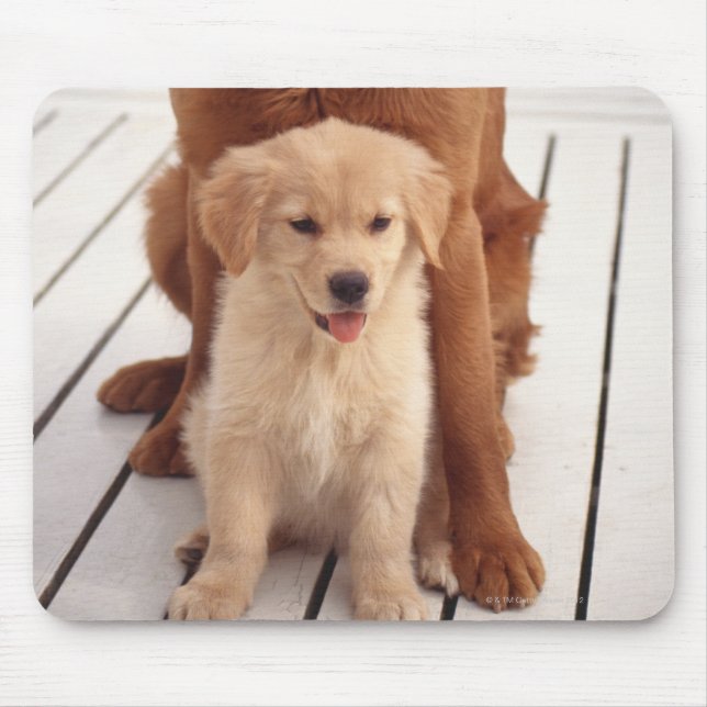 Golden Retriever 2 Mouse Pad (Front)