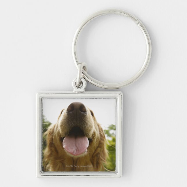 Golden Retriever 5 Key Ring (Front)