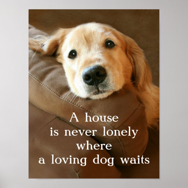 Golden Retriever A House Is Never Lonely Poster (Front)
