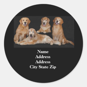 Golden Retriever Address Label