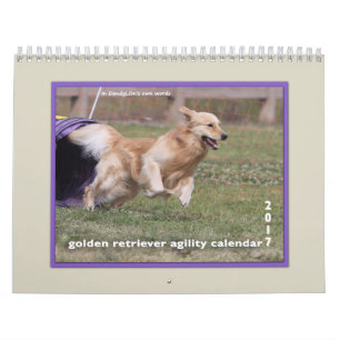 Golden Retriever Agility 2017 Calendar