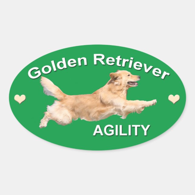 Golden Retriever Agility Decal Oval Sticker (Front)
