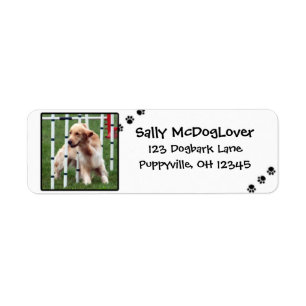 Golden Retriever Agility Return Address Label