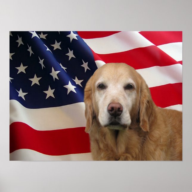 Golden Retriever American Flag Print (Front)