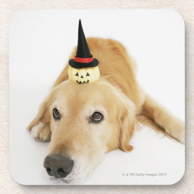 Golden retriever and ornament coaster (Front)