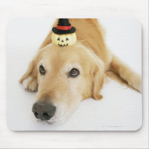 Golden retriever and ornament mouse pad