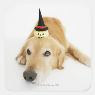 Golden retriever and ornament square sticker