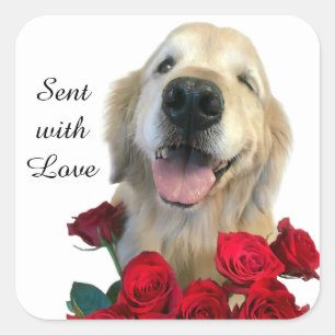 Golden Retriever and Roses Sent With Love Square Sticker