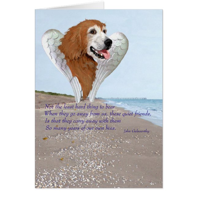Golden Retriever Angel (Front)