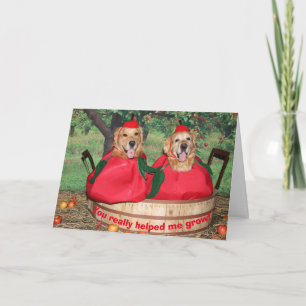Golden Retriever Apples Teacher Thank You Card