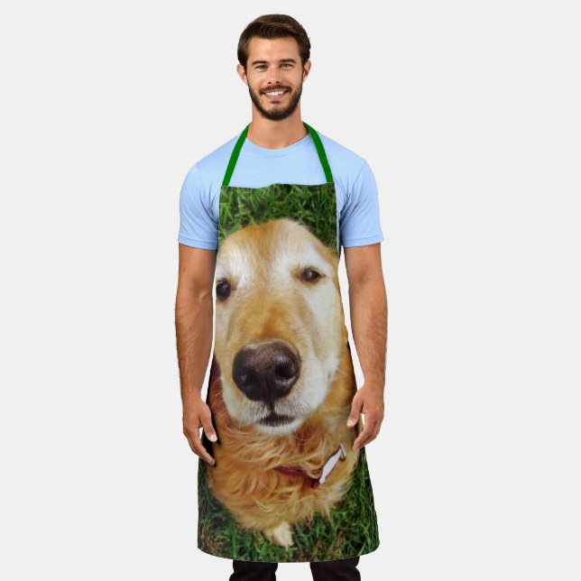 Golden Retriever Apron (Worn)