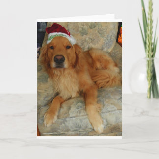 Golden Retriever at Christmas Holiday Card