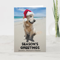 Golden Retriever at pristine beach