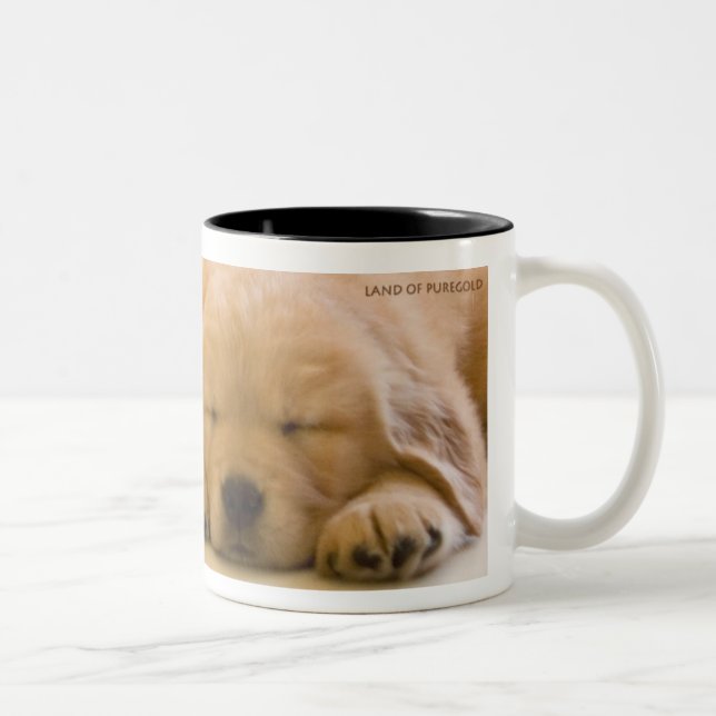 Golden Retriever Babies Two-Tone Coffee Mug (Right)