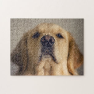 Golden Retriever Balancing Treat on Nose Jigsaw Puzzle