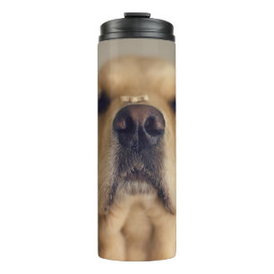 Golden Retriever Balancing Treat on Nose Thermal Tumbler