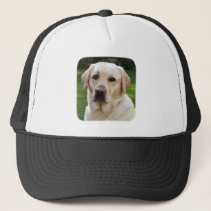 Golden Retriever Baseball / Trucker Hat