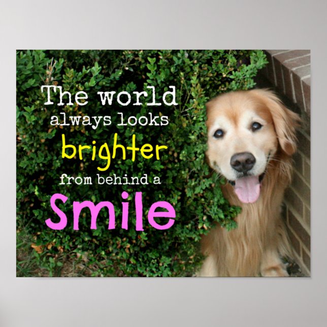 Golden Retriever Behind A Smile Poster (Front)