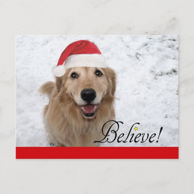Golden Retriever Believe Christmas Holiday Postcard (Front)