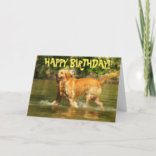 Golden retriever birthday card