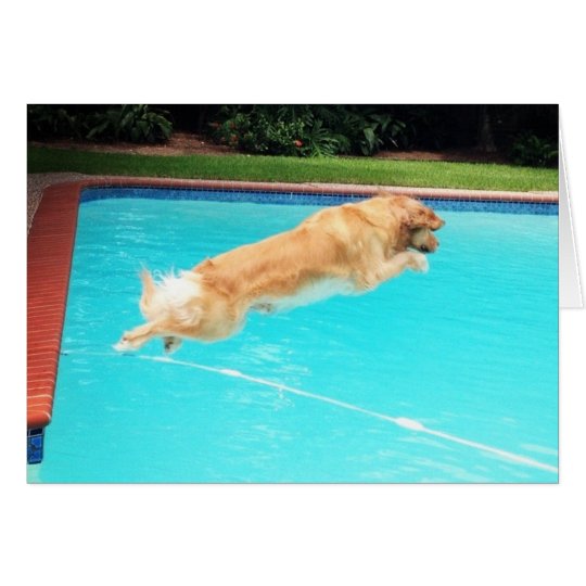Golden Retriever Birthday Card