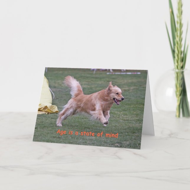 Golden Retriever Birthday Card 'Age' (Front)