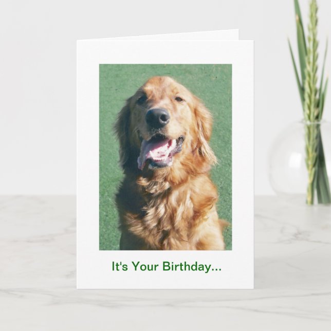 Golden Retriever Birthday Card, Golden Years Card (Front)