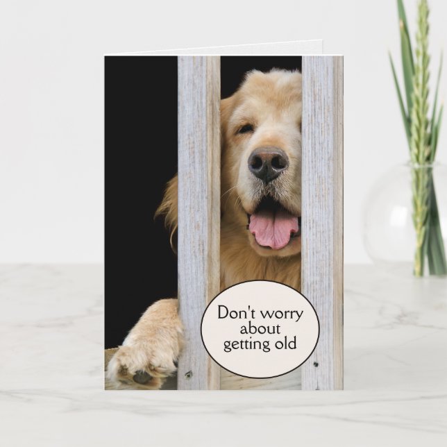 Golden Retriever Birthday Getting Old Humour  Card (Front)