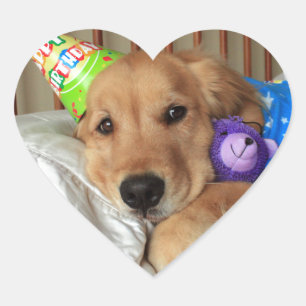 Golden Retriever Birthday Heart Sticker
