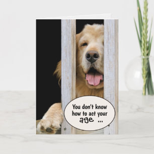Golden Retriever Birthday Humour Card