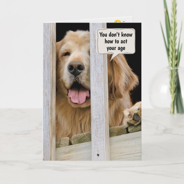 Golden Retriever Birthday Humour Card (Front)