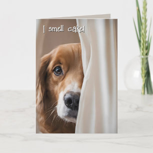 Golden Retriever Birthday Humour Card