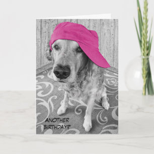 Golden Retriever Birthday Humour Card