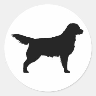 Golden Retriever (black) Classic Round Sticker