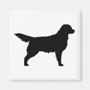 Golden Retriever (black) Magnet