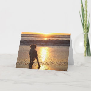 Golden Retriever Blank Photo Card