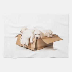 Golden Retriever Box of Fun Tea Towel