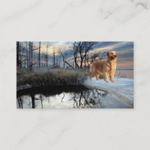 Golden Retriever Breeder Business Card